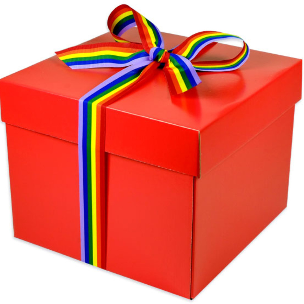 4+ LB Mystery Box of Baby Girl Brand New with Tags Clothing